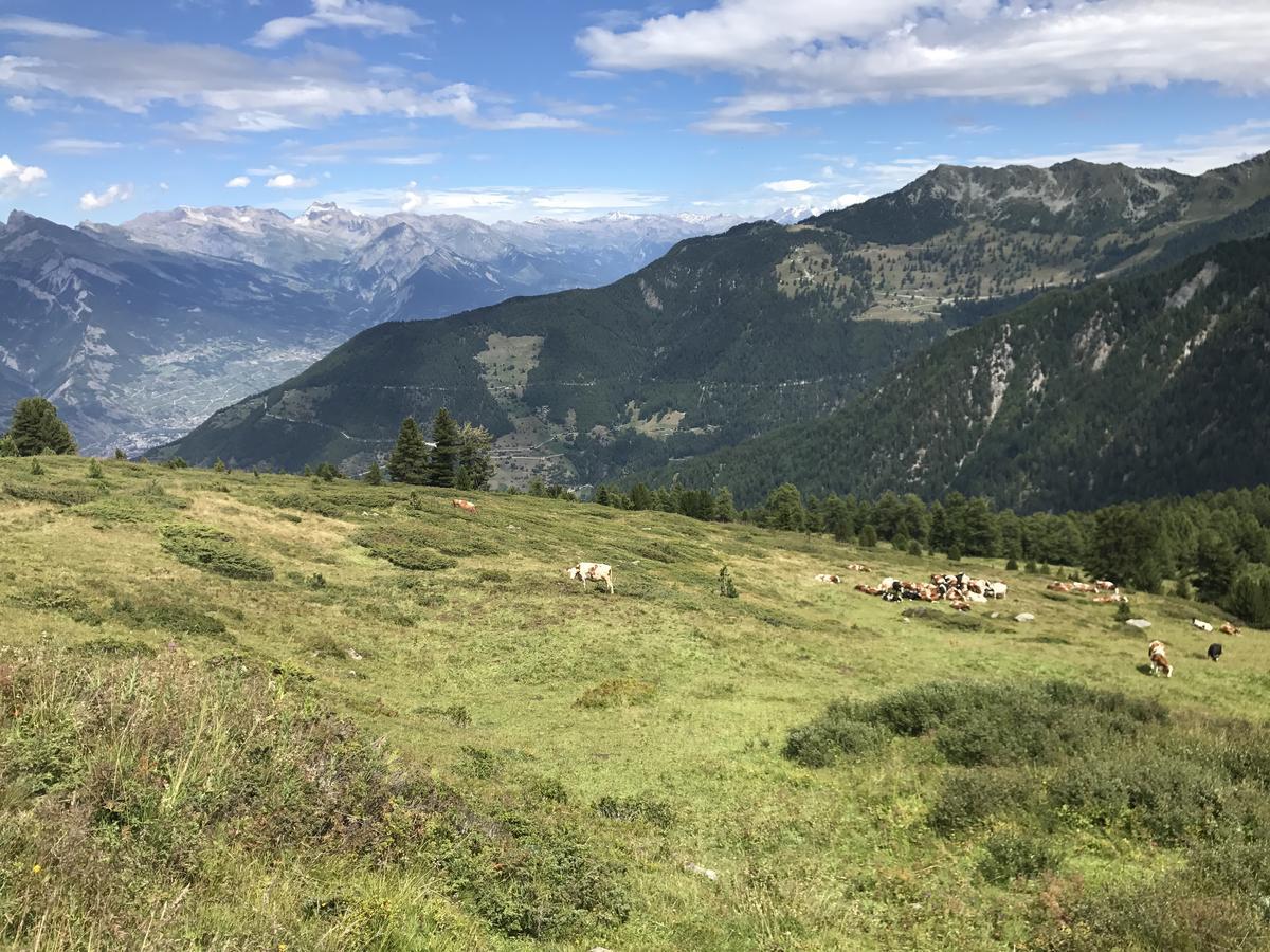 Chalet Clochette 4 Valles-Verbier La Tzoumaz Kültér fotó